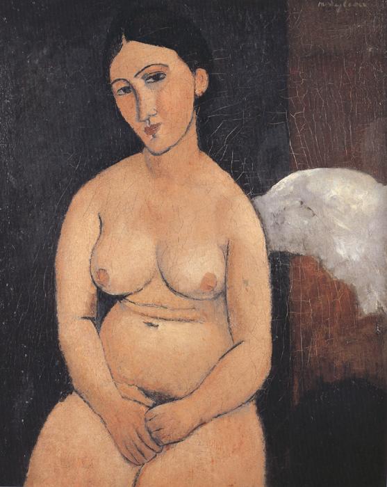 Amedeo Modigliani Seated Nude (mk39) France oil painting art